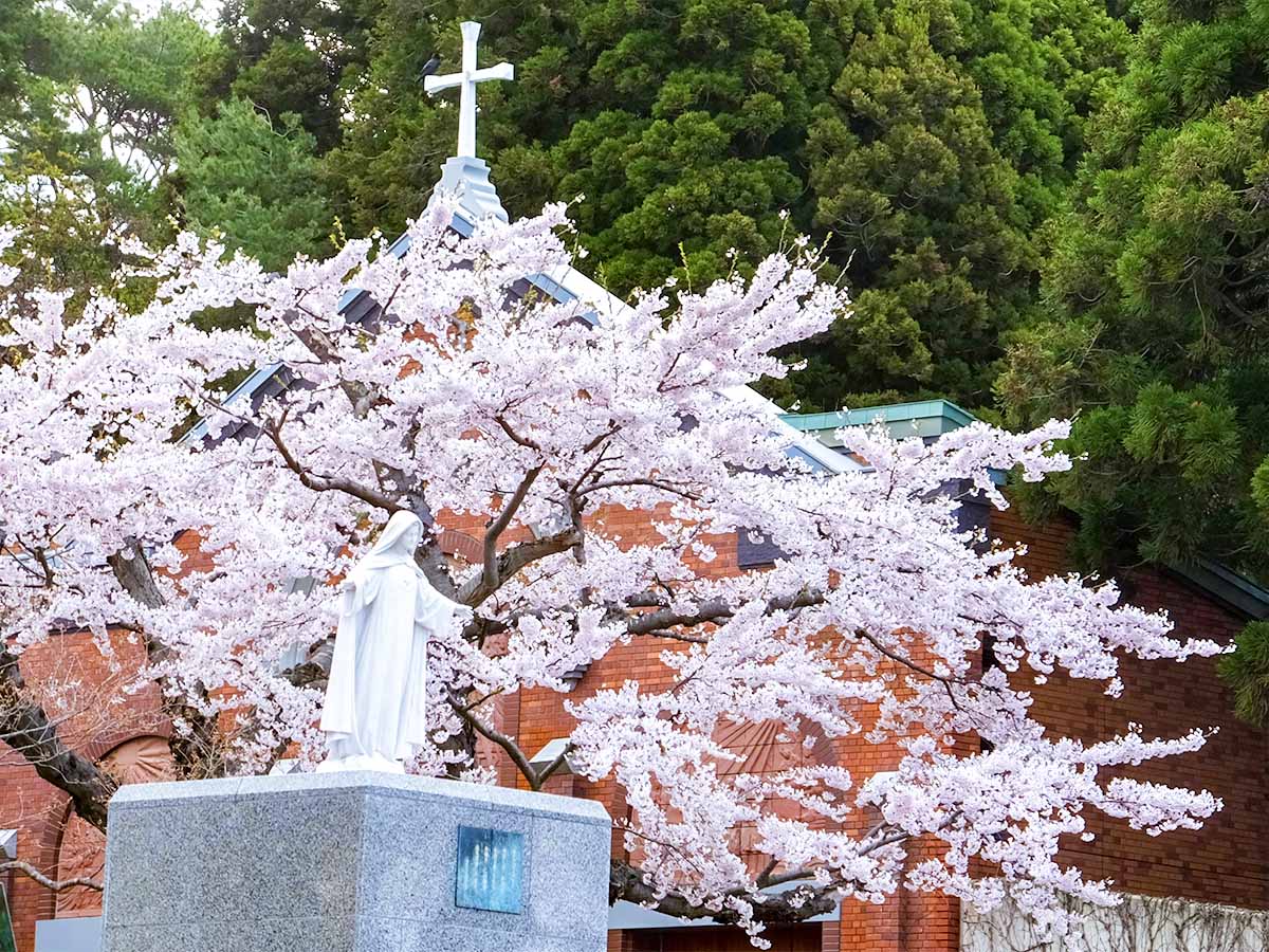 1200 トラピスチヌ修道院 (2)