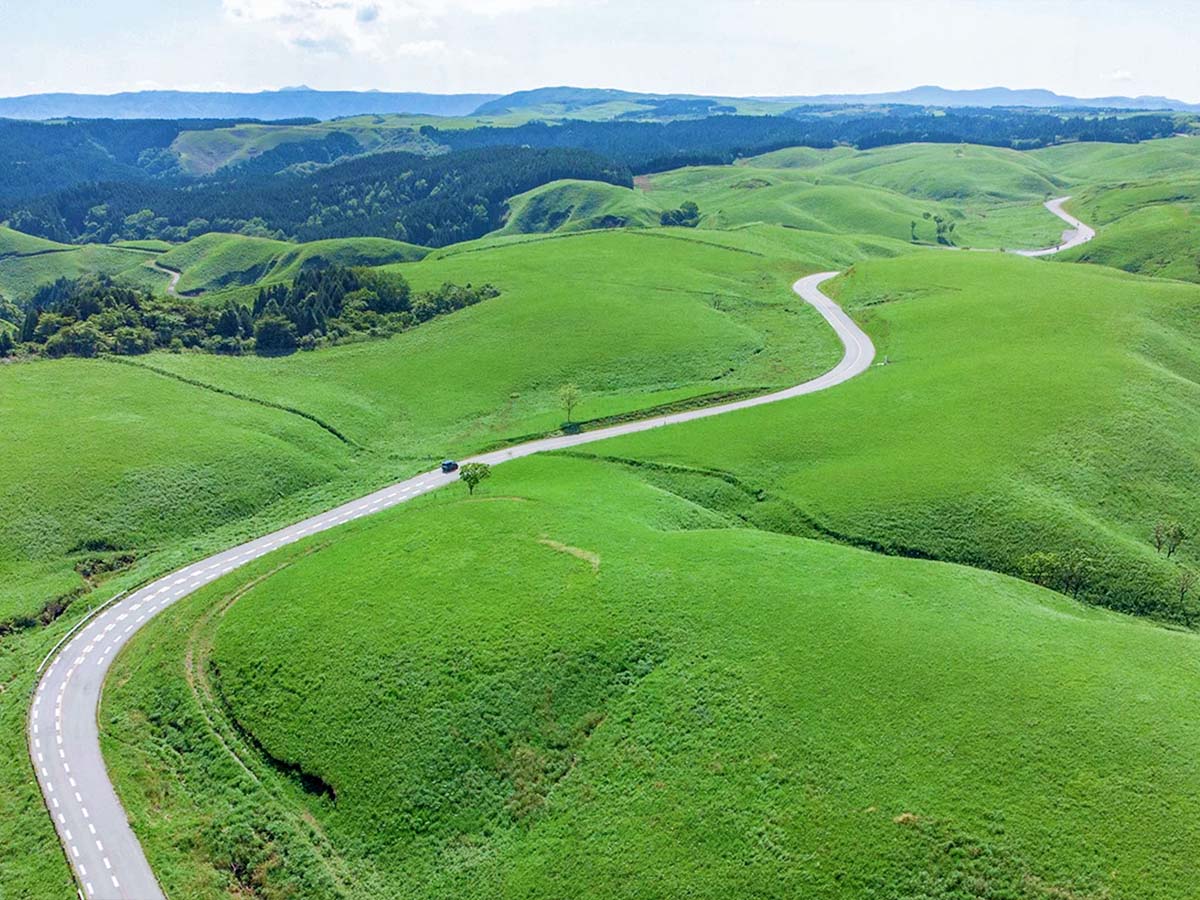 1200 ミルクロード (1)