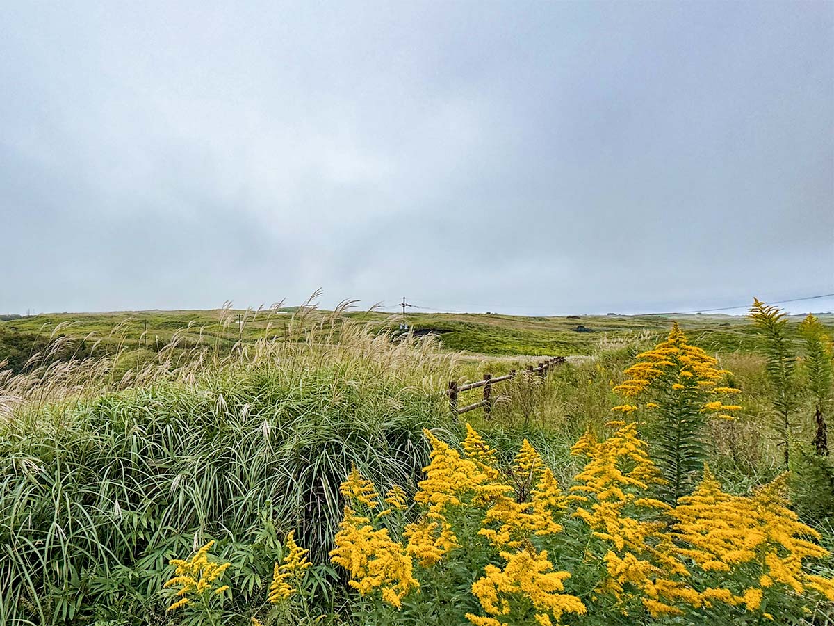 1200 写真 10-21-25 11 06 58