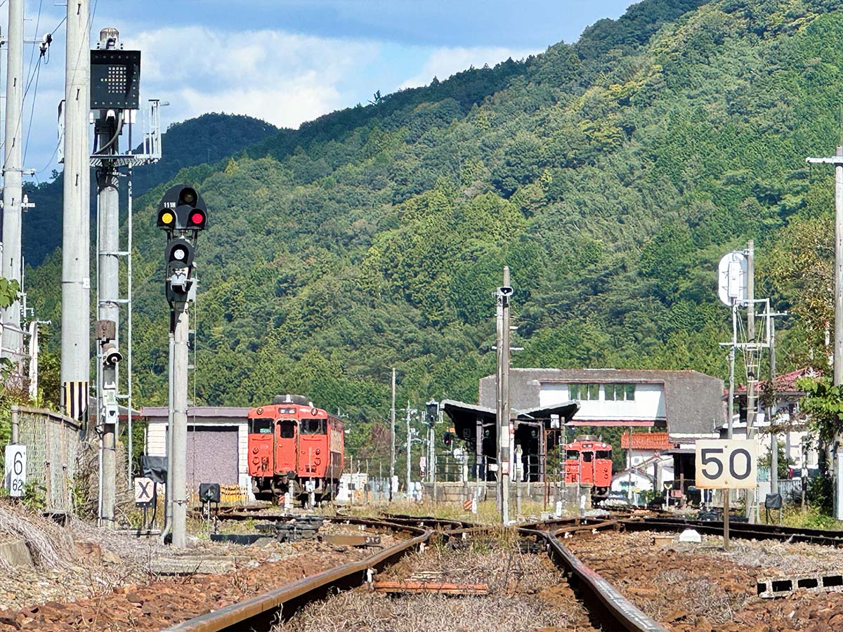 1200 写真 10-28-25 12 03 11★