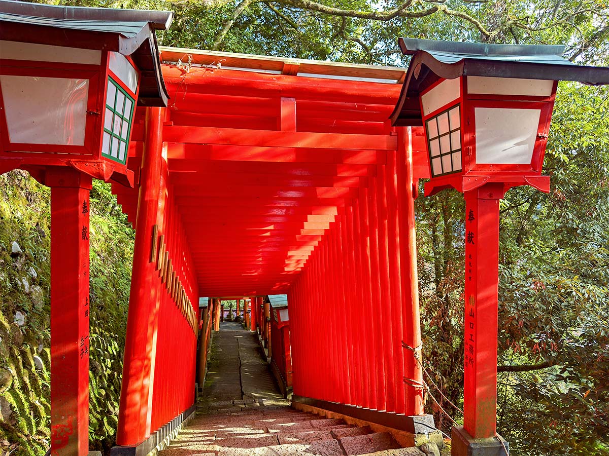 1200 写真 10-28-25 8 15 42