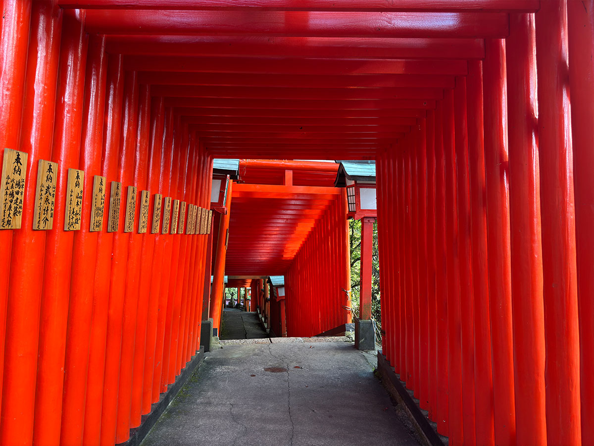 1200 写真 10-28-25 8 16 03★