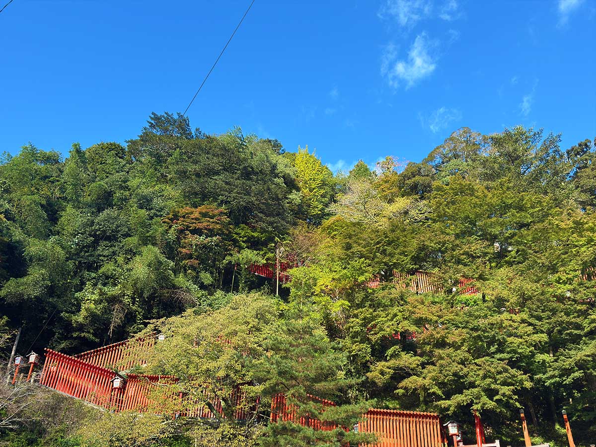 1200 写真 10-28-25 8 28 03★