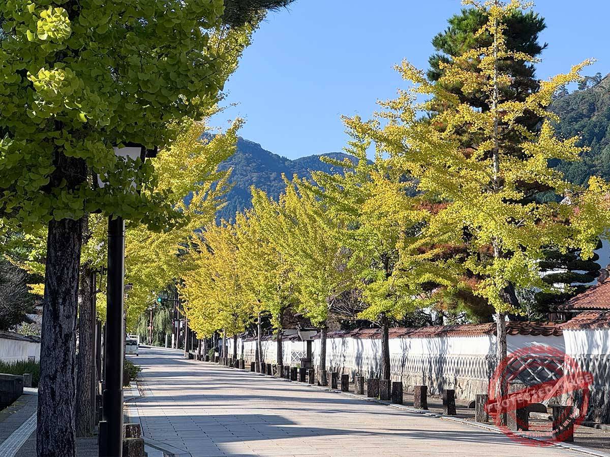 1200 写真 10-29-25 8 58 52★