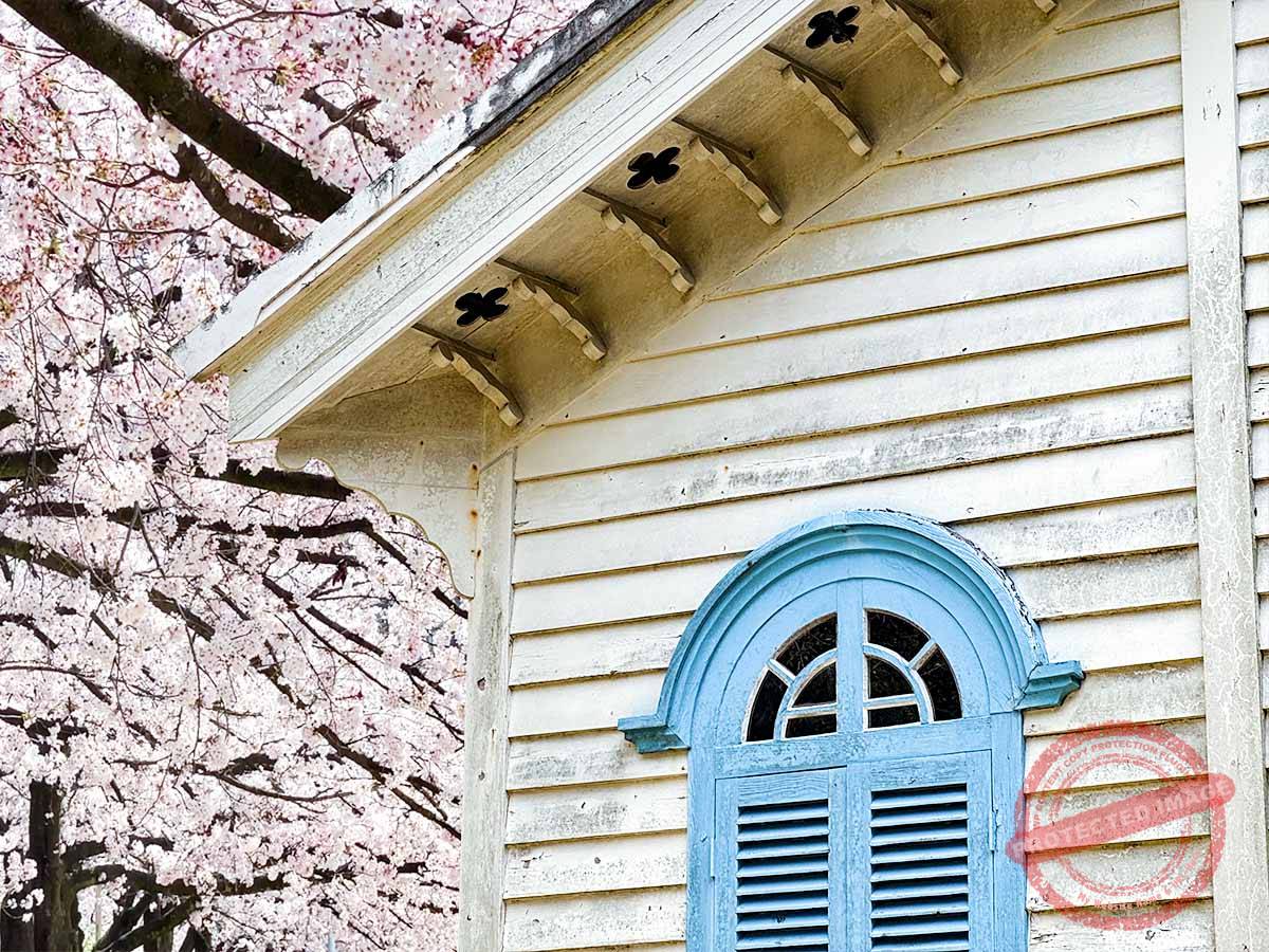 1200 写真 3-25-25 13 36 (1)