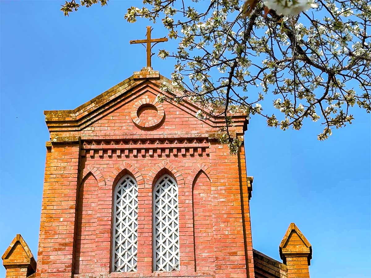 1200 写真 3-26-25 9 42 19★