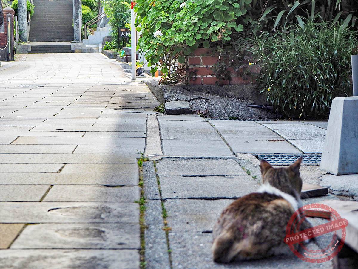 1200 天草の﨑津集落 (3)