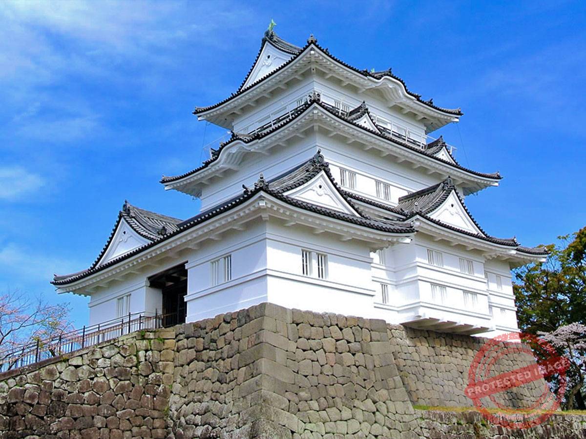 1200 小田原城 (2)