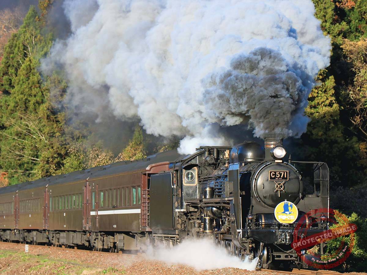 1200 津和野町 (3)