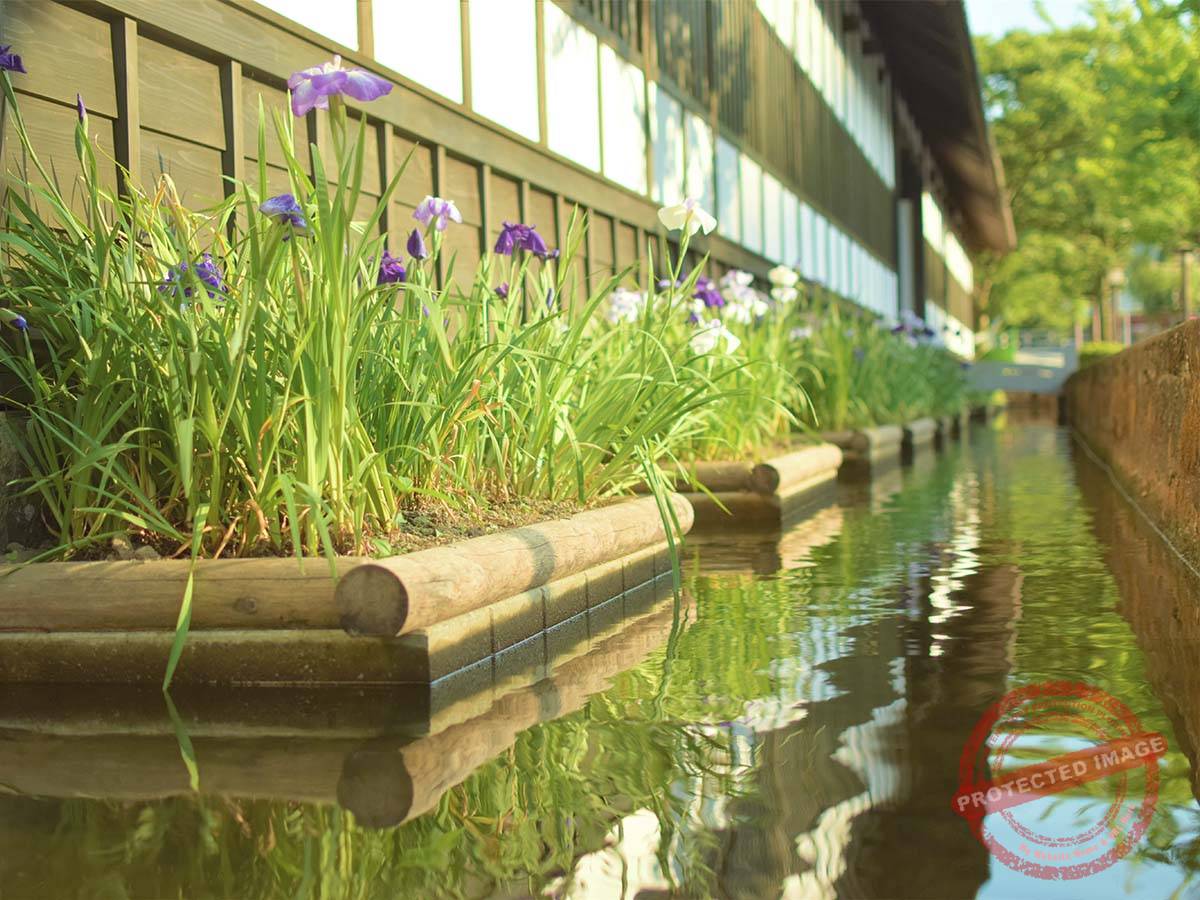 1200 津和野町 (4)