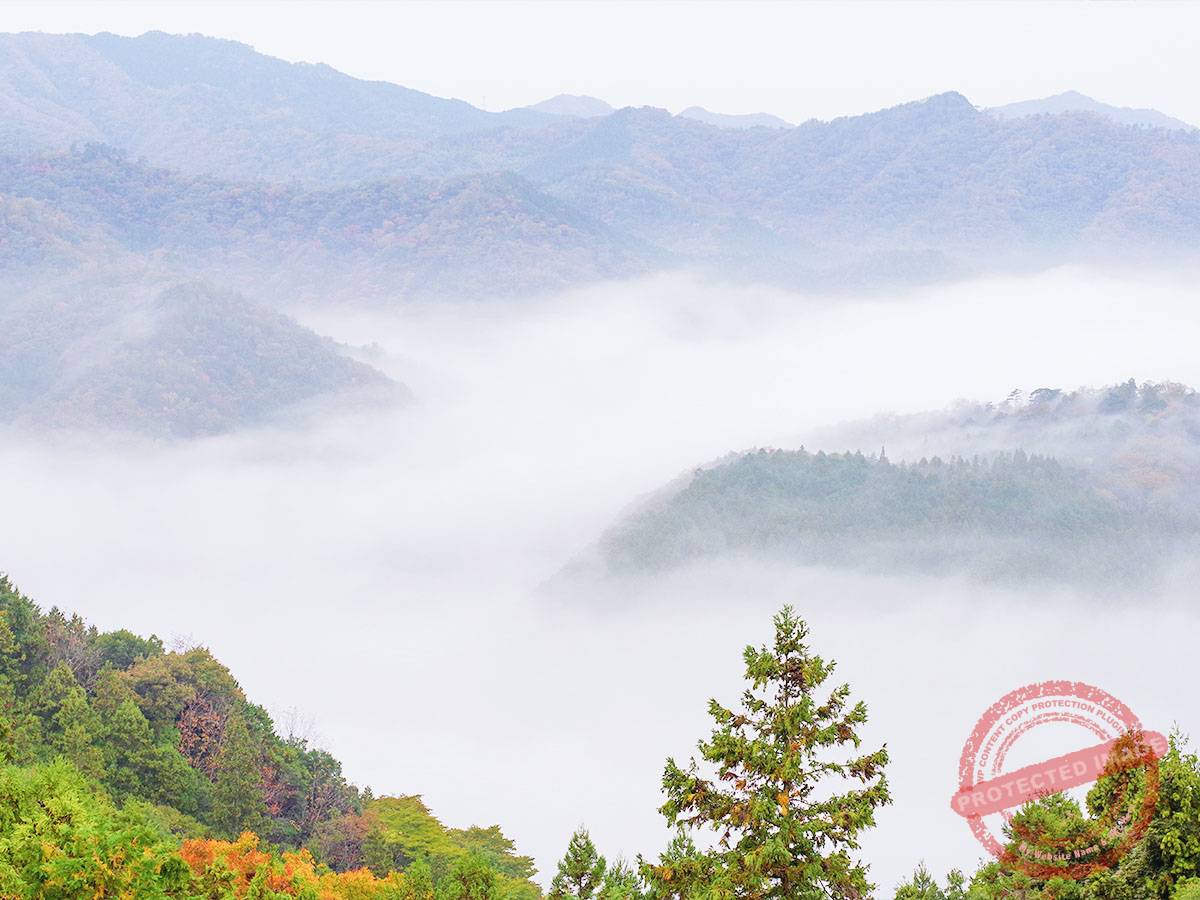 1200 津和野町 (5)