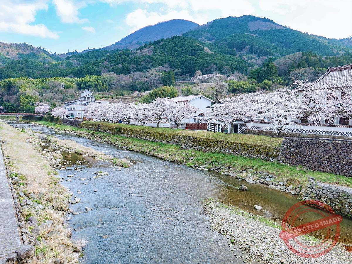 1200 津和野町 (6)