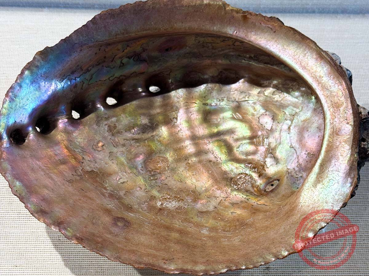 1200 﨑津資料館みなと屋 (6)