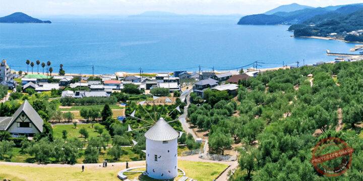 Mediterranean Immersion