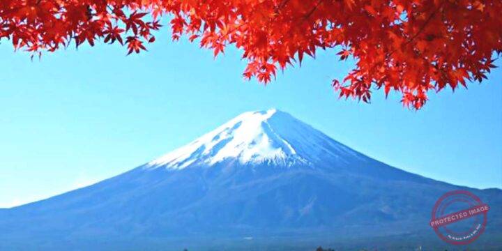 Mount Fuji Through the Seasons