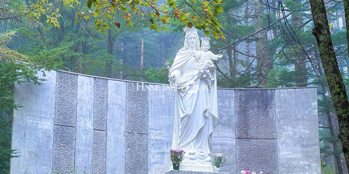 Tokyo & Mt. Fuji (Kanto)