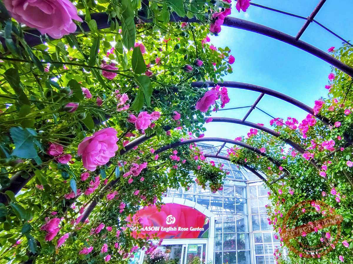 250522162005290-2048x1152