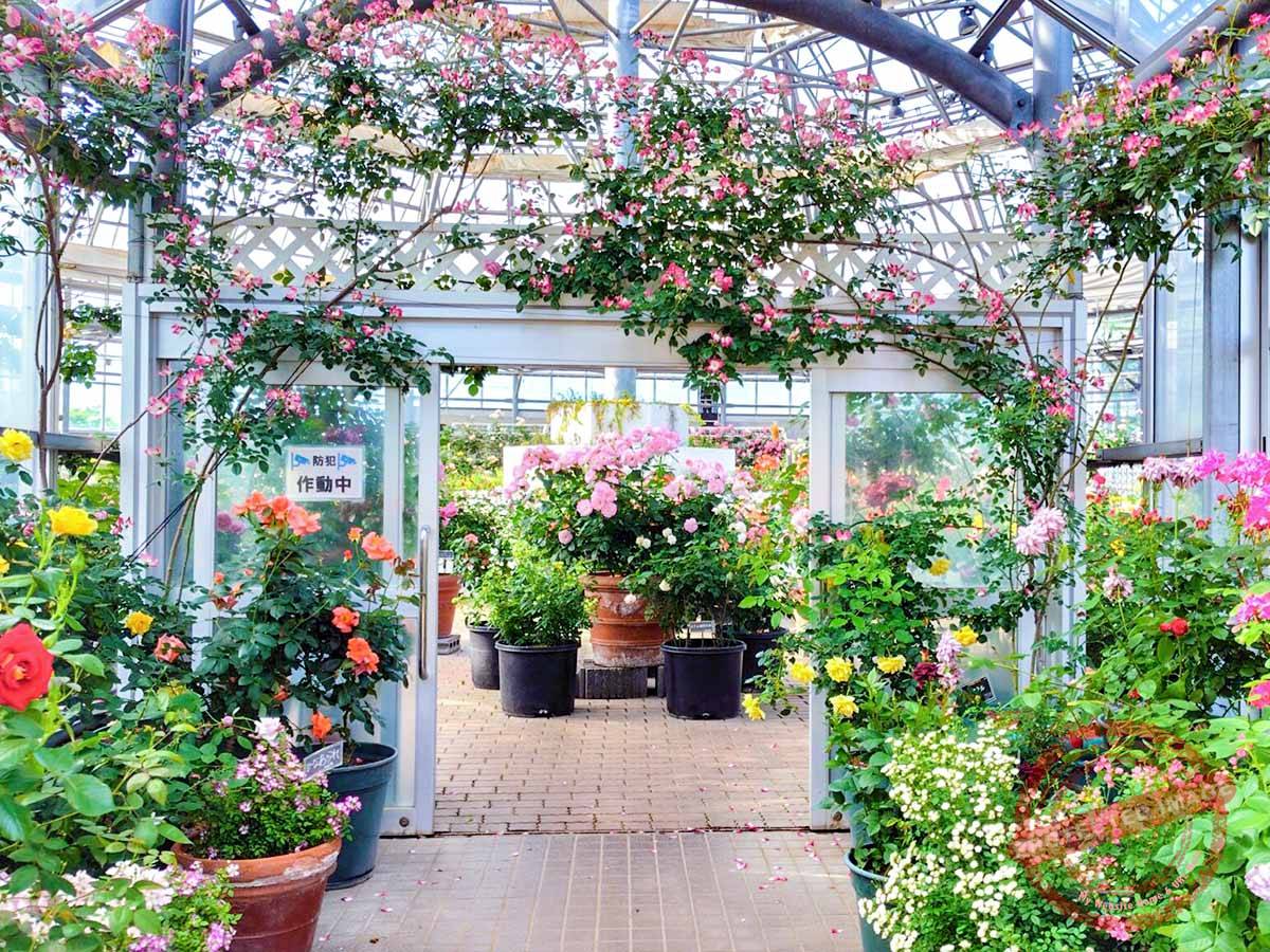 250522162050334-2048x1152