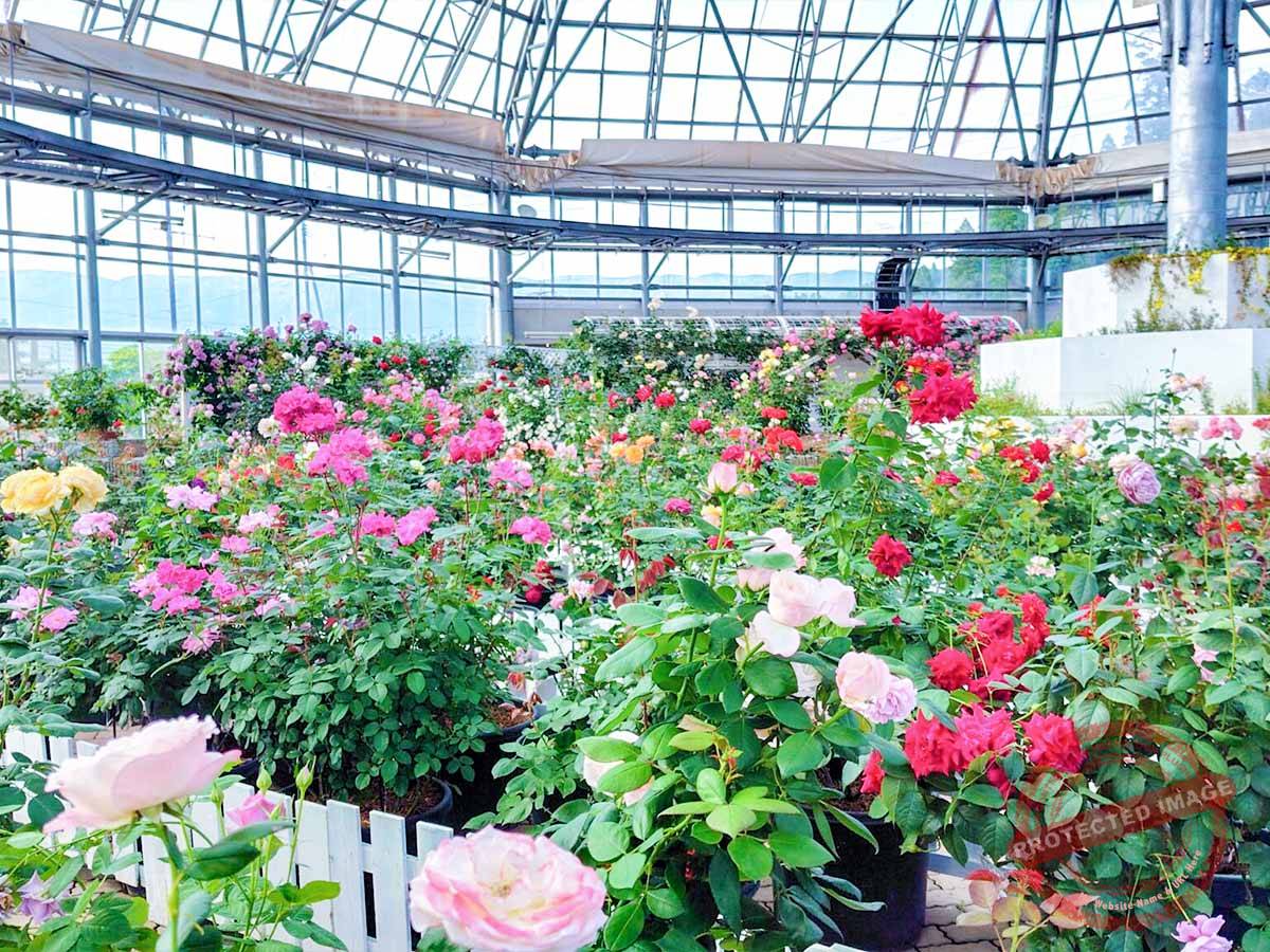 250522162128236-2048x1152