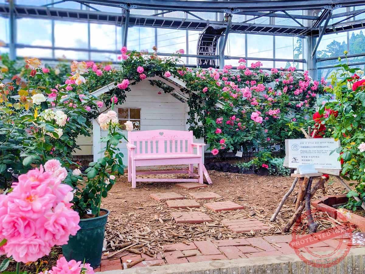 250522162331915-2048x1433