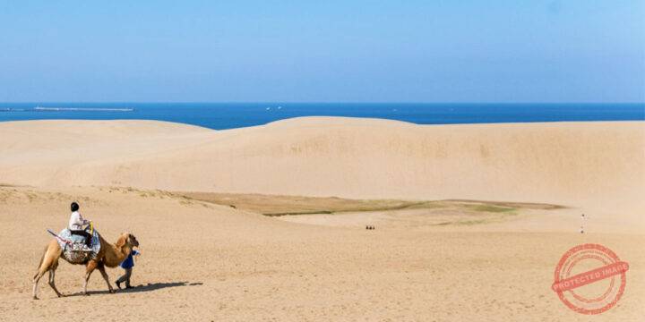 Tottori Great Sand Dune