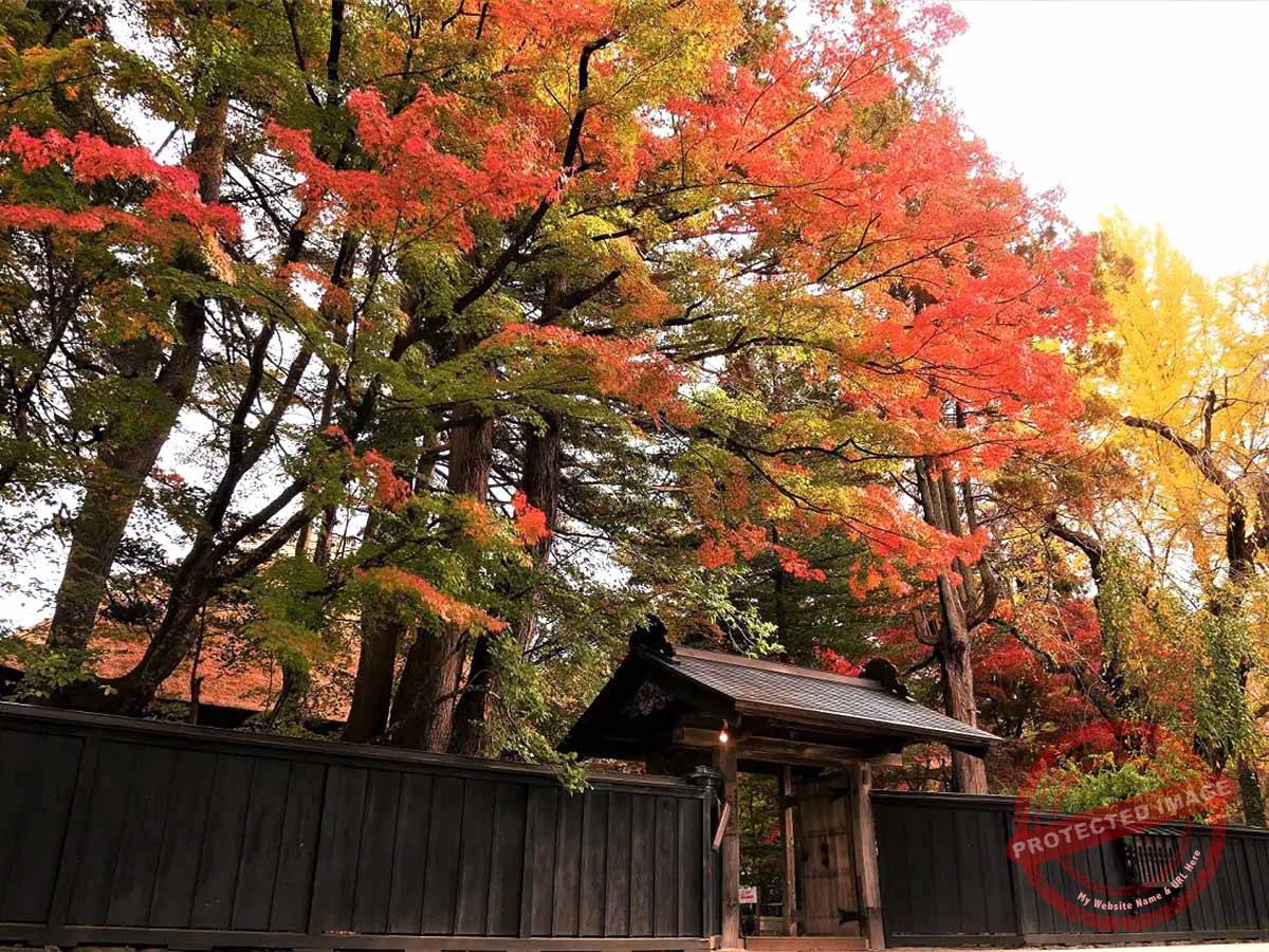 7. Kakunodate Samurai Residences