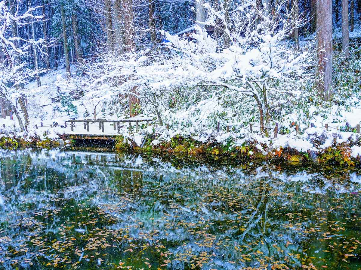 Monet's Pond in Winter