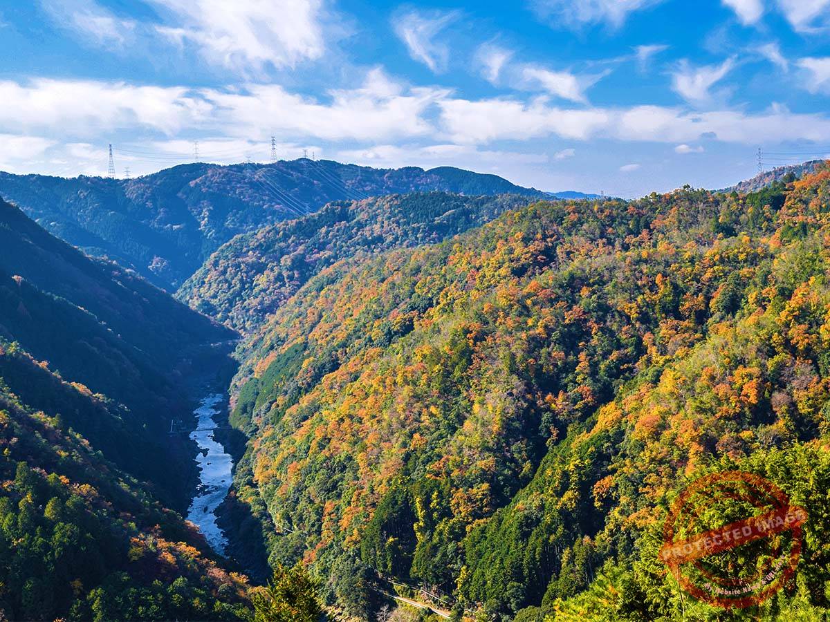 Arashiyama Parkway Observatory