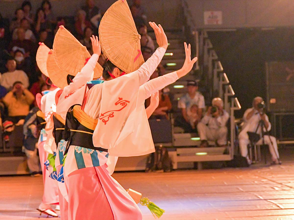 Awa odori (3)