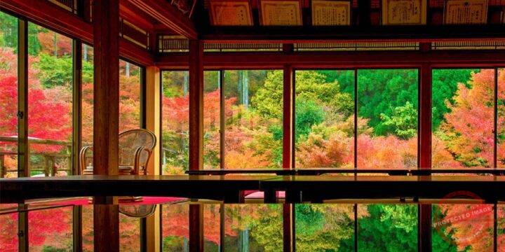 Enviroment Art Forest Park