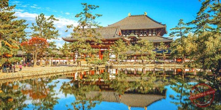 Todaiji Temple (the Great Buddha)