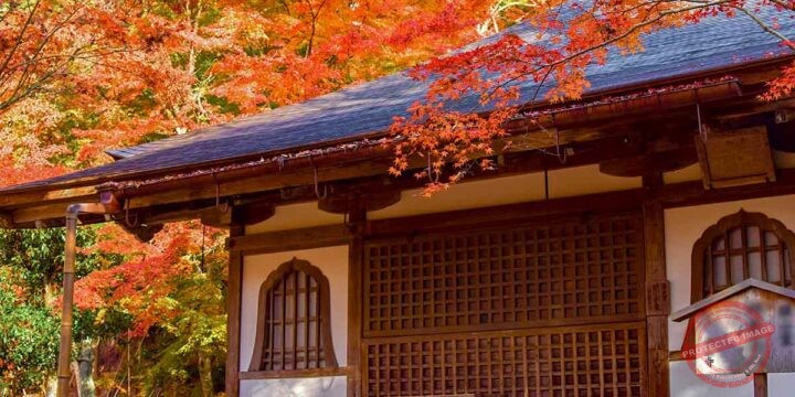 The Hidden Riverside Ravine (World Heritage)