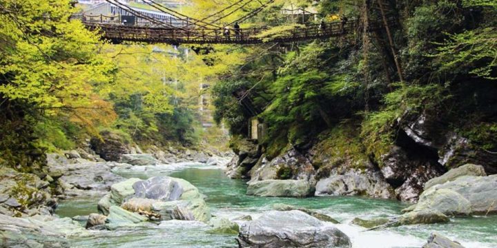 Vine Bridge in Iya Valley