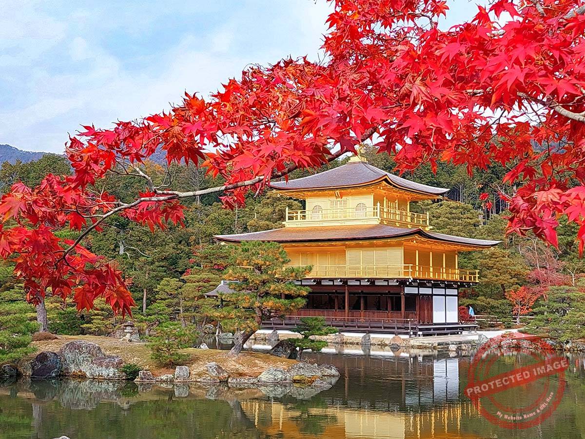 Kinkakuji Temple 金閣寺 (2)