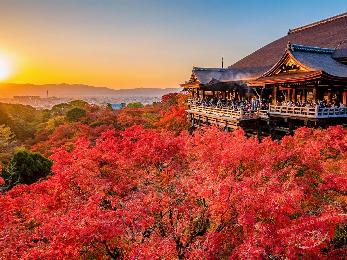 Kiyomizudera Temple 清水寺 (4)
