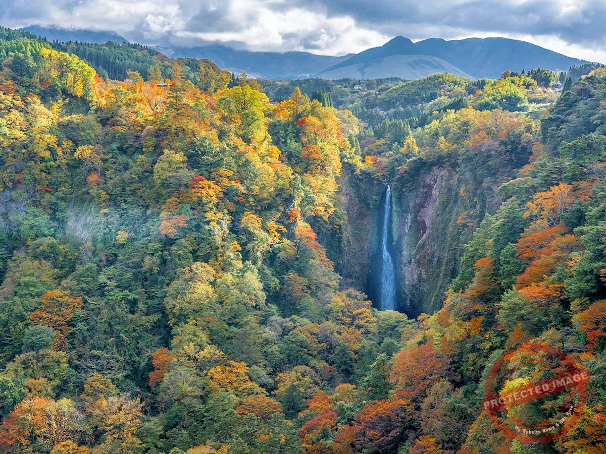 Kokonoe_九重“夢”大吊橋3