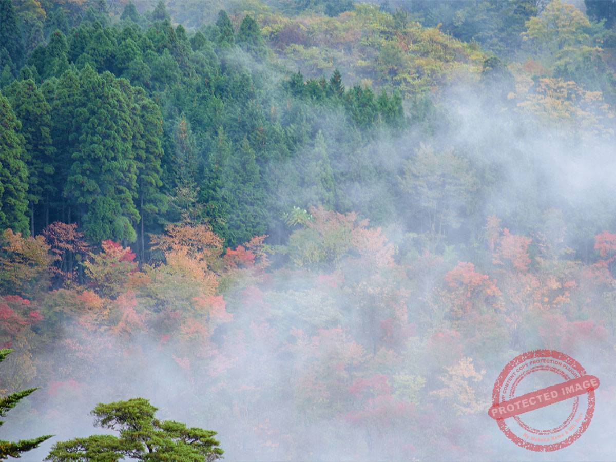 Kokonoe_九重“夢”大吊橋5