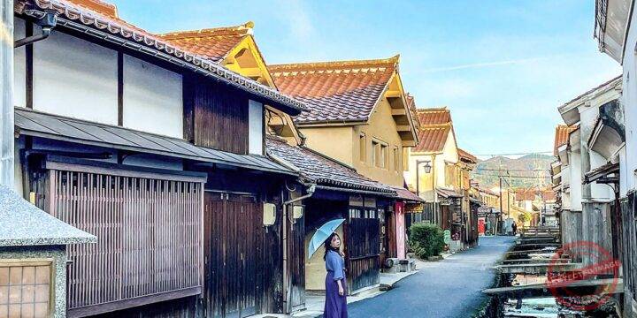 Kurayoshi White-Walled Storehouses