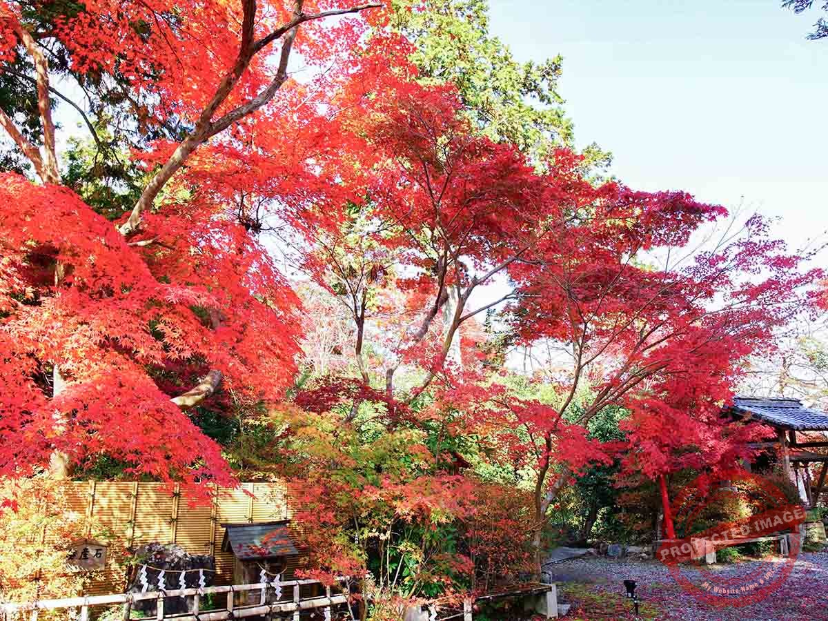 Kuwayama_鍬山神社 (2)