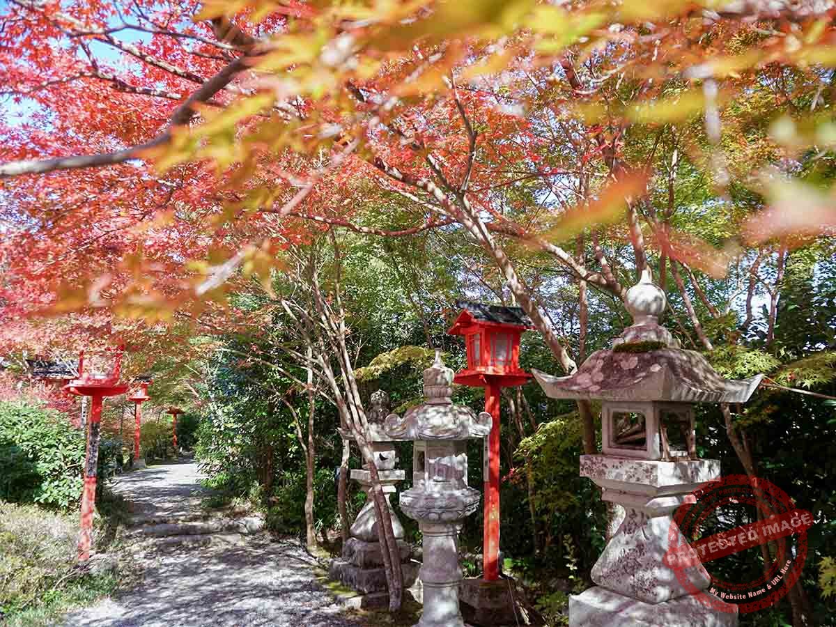 Kuwayama_鍬山神社 (3)