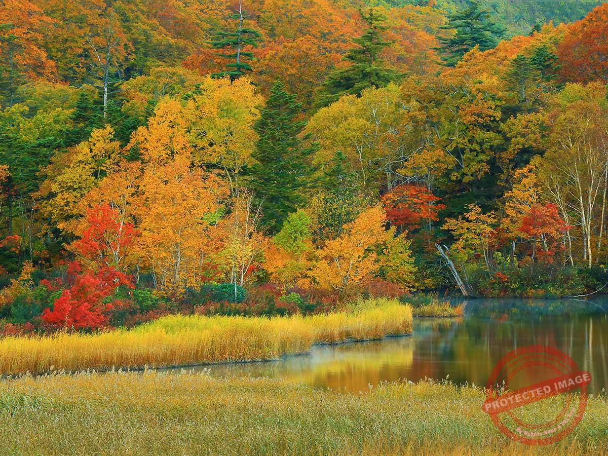 Onuma Quasi-National Park