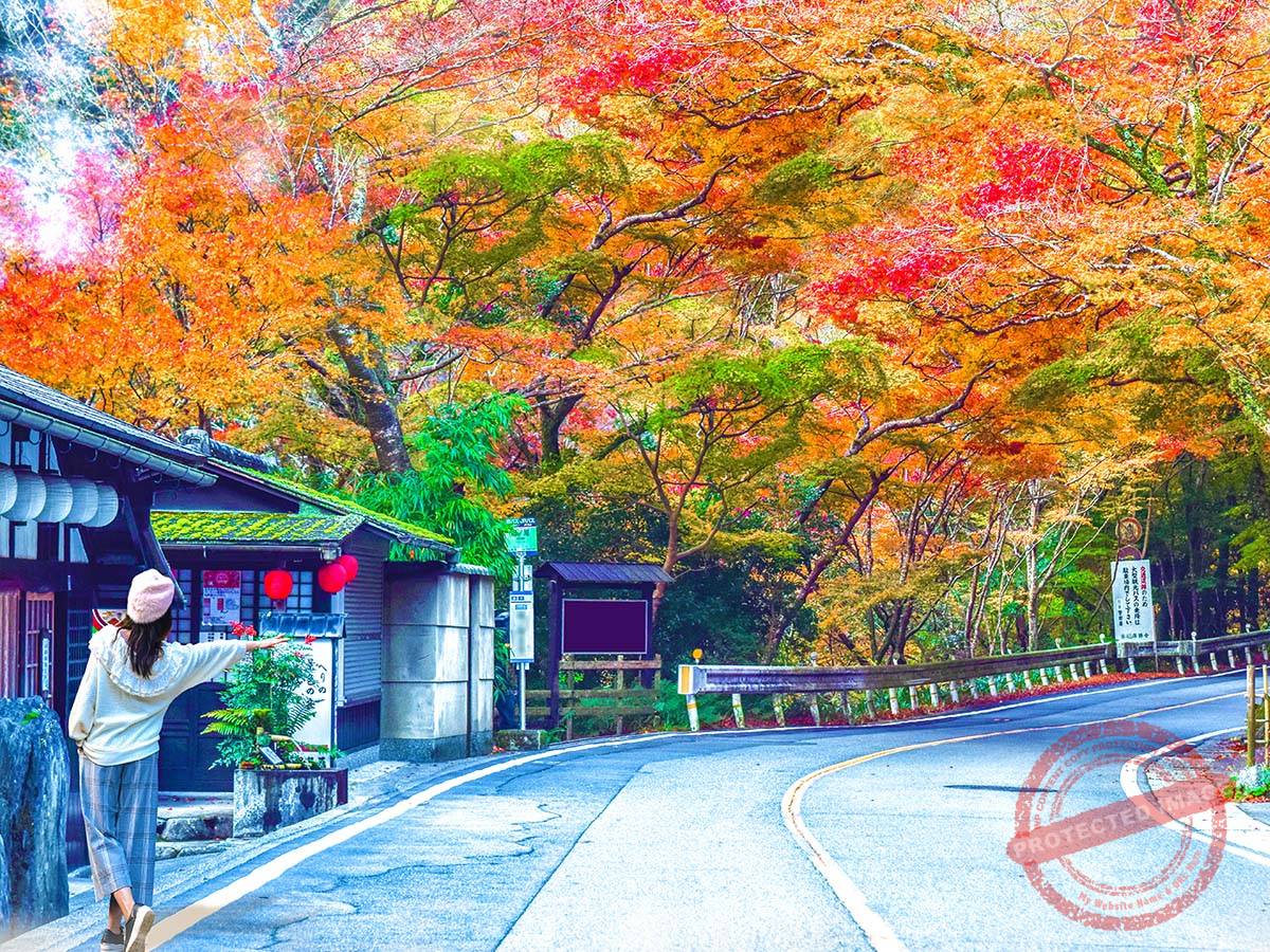 Takayamadera Kozanji4