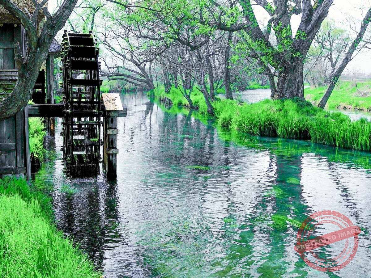 b2a13f1a4d58743b8bd891237c15c819