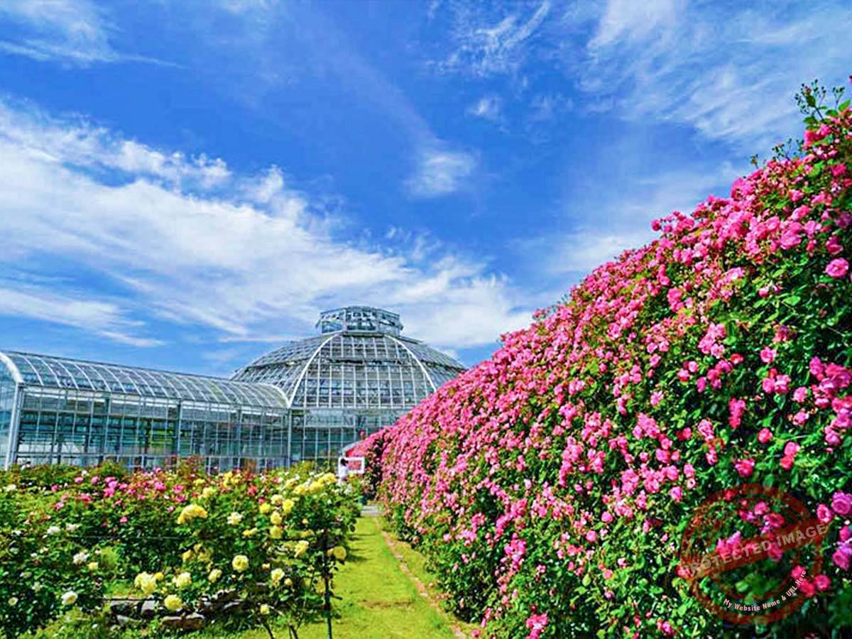 o1200080015449874376