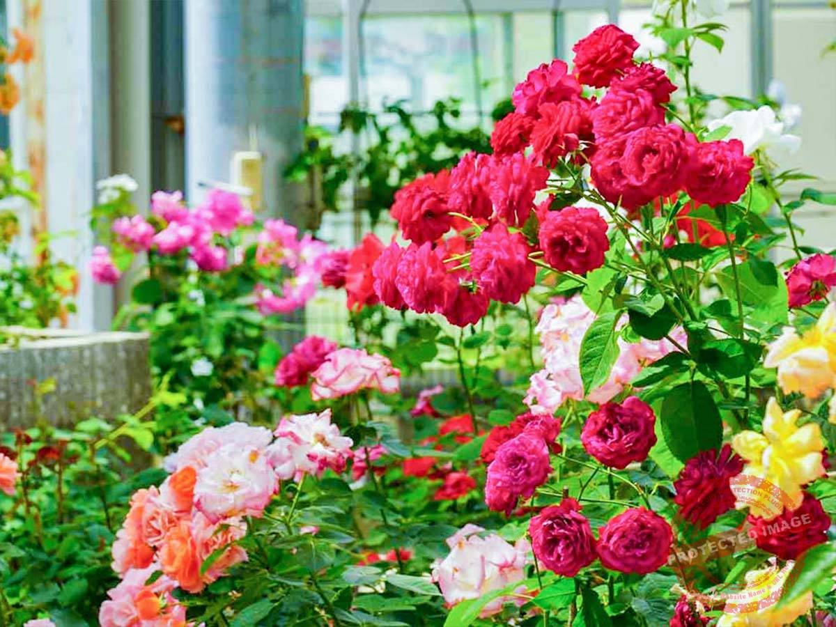 o1200080015449874382