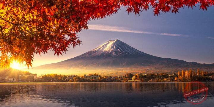 Lake Kawaguchi, Oishi Park