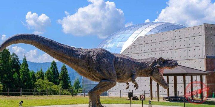 The Fukui Prefecture Dinosaur Museum