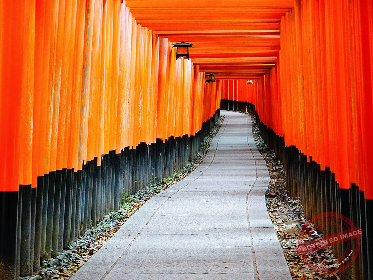 ● Fushimi Inari Taisha Shrine (2)