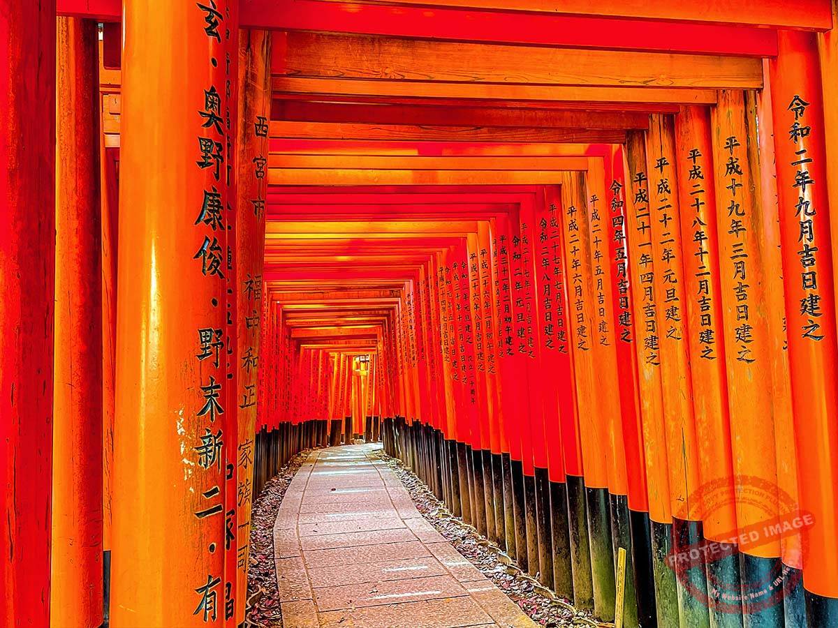 ● Fushimi Inari Taisha Shrine (3)