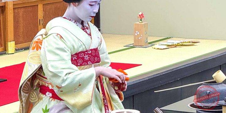 Meet a Real Maiko